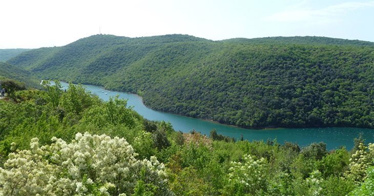 Vrsar Croatia - Travel Guide & Itinerary 9 Lim Bay - Porec Istria Croatia