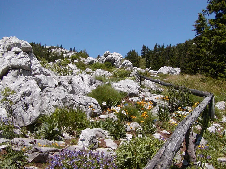 Northern Velebit National Park: Top Things To Do & Entrance Fees 7 Botanic Garden Northern Velebit