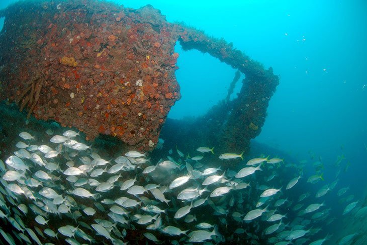 Brijuni National Park & Islands Croatia: Best Things To Do, Attractions & Getting There 8 Brijuni Ship Wreck - Underwater