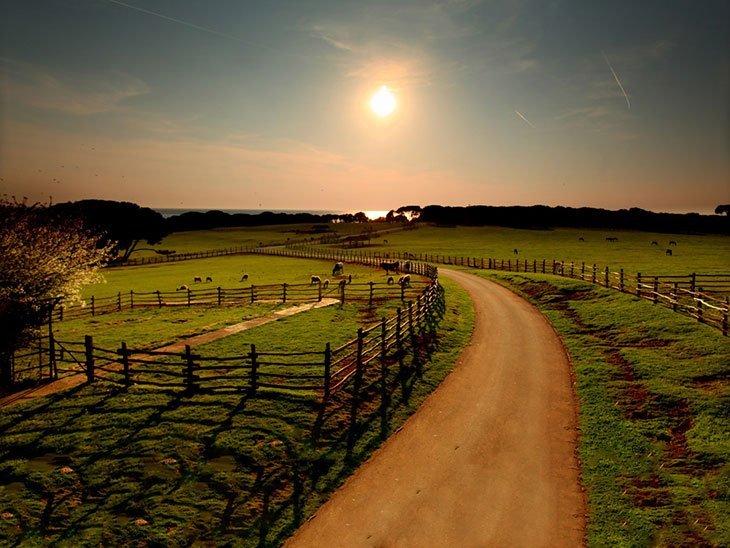 National Parks In Croatia 4 Brijuni National park