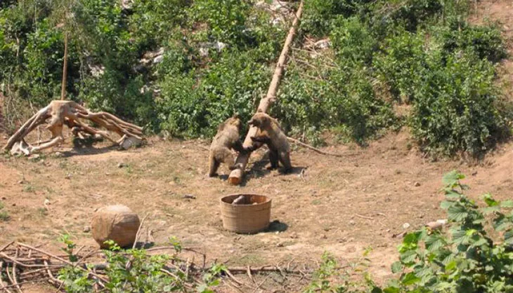 Northern Velebit National Park: Top Things To Do & Entrance Fees 15 Kutarevo Bear Village - Croatia
