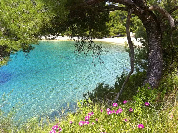 Mljet National Park Croatia: Top Things To Do, Attractions & Getting There 2 Mljet National Park Croatia