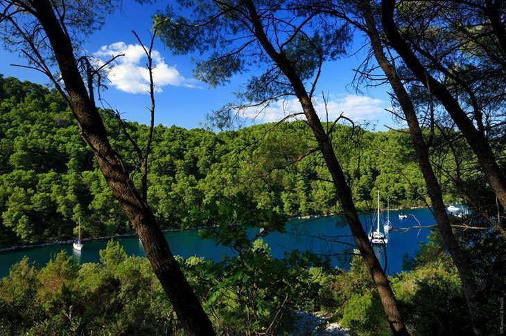 Polace Bay Croatia Mljet