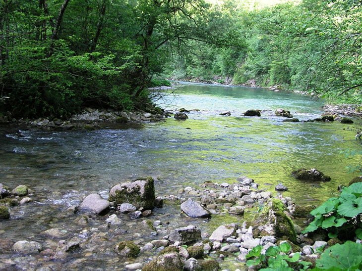 Risnjak National Park Croatia: Best Things To Do, Peaks, Entrance Fees 7 Risnjak Kupa Fishing