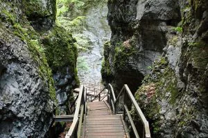 Risnjak National Park - Croatia