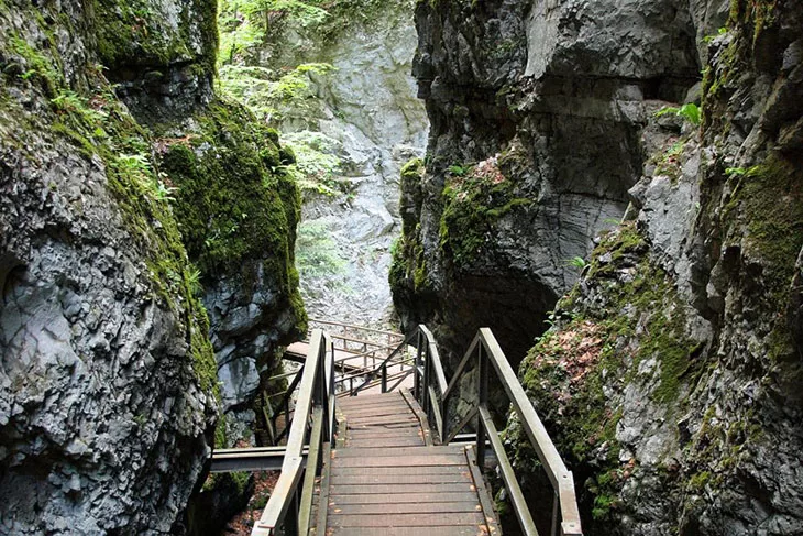 Crikvenica Croatia: Best Things To Do, Attractions, Beaches & Getting There 8 Risnjak National Park - Croatia