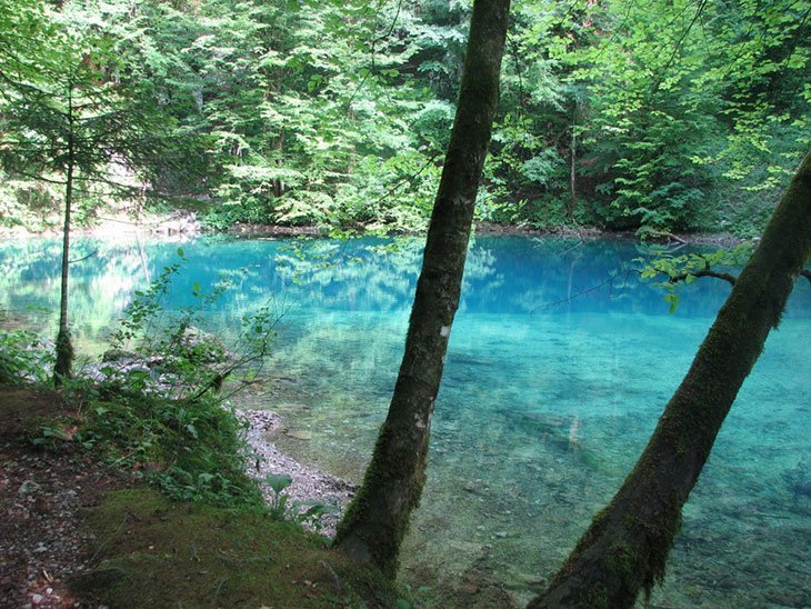 Risnjak National Park Croatia: Best Things To Do, Peaks, Entrance Fees 6 Risnjak - Kupa River