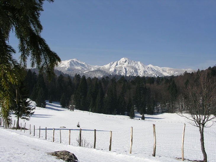 Risnjak National Park Croatia: Best Things To Do, Peaks, Entrance Fees 14 Skiing In Risnjak National Park