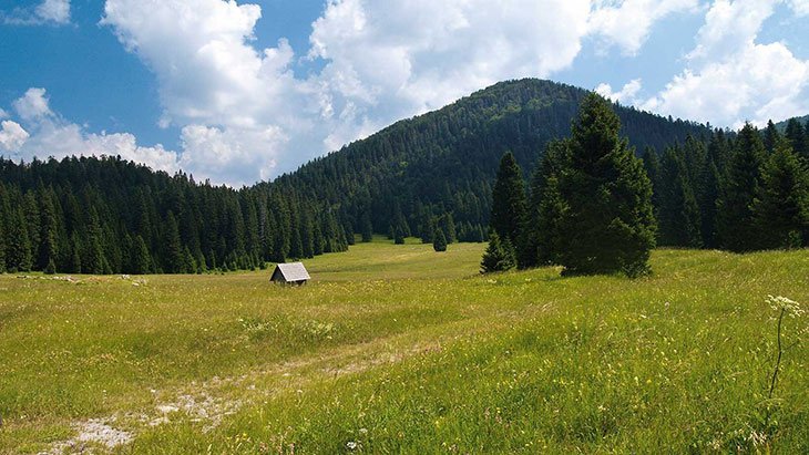 Risnjak National Park Croatia: Best Things To Do, Peaks, Entrance Fees 16 Visit Risnjak
