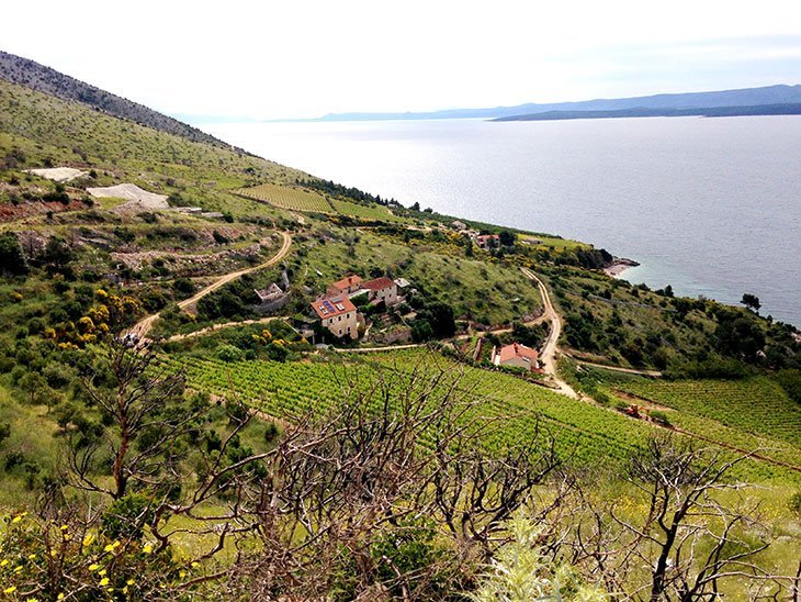 Island Of Brač Croatia: Best Things To Do, Attractions, Beaches & Getting There 12 Maountain Binking on Brac Island