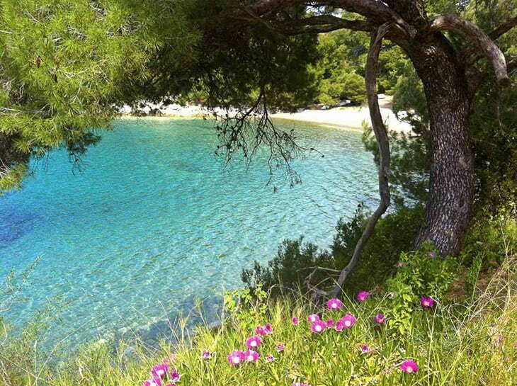 Croatia beaches: Saplunara Mljet