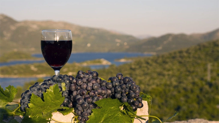 Zinfandel Croatia Wine